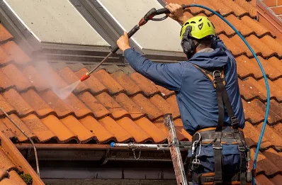 Démoussage et hydrofuge de toiture à Lalanne-Trie